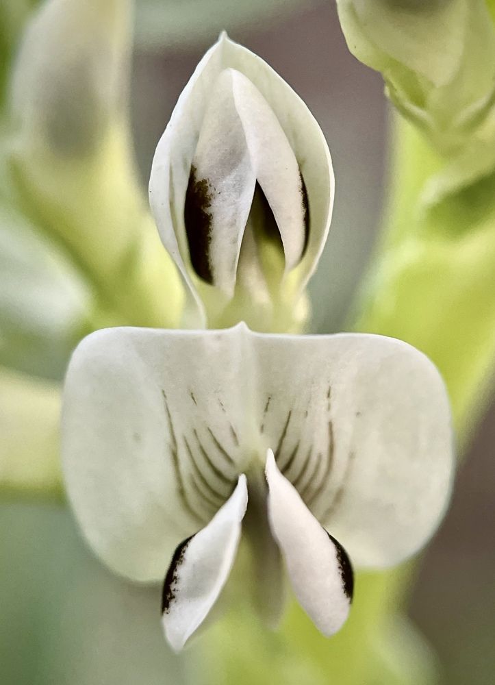 Namaste ( Greetings from India)