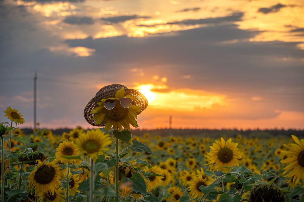 Photograph by Высотских Владимир