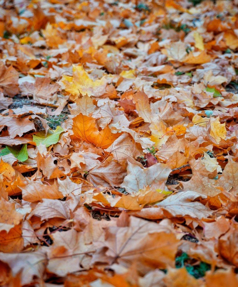 Photograph by Высотских Владимир