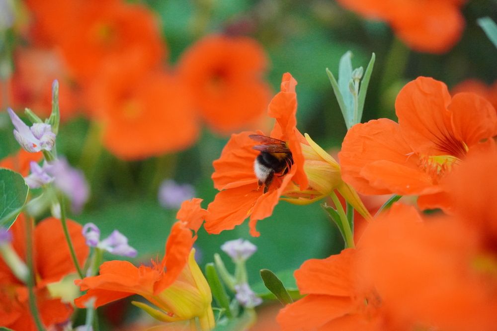 Photograph by Высотских Владимир