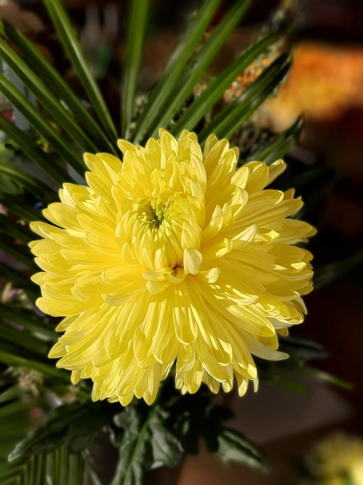 Photograph by Елена Горева