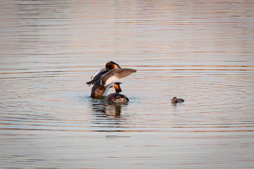 Photograph by Высотских Владимир