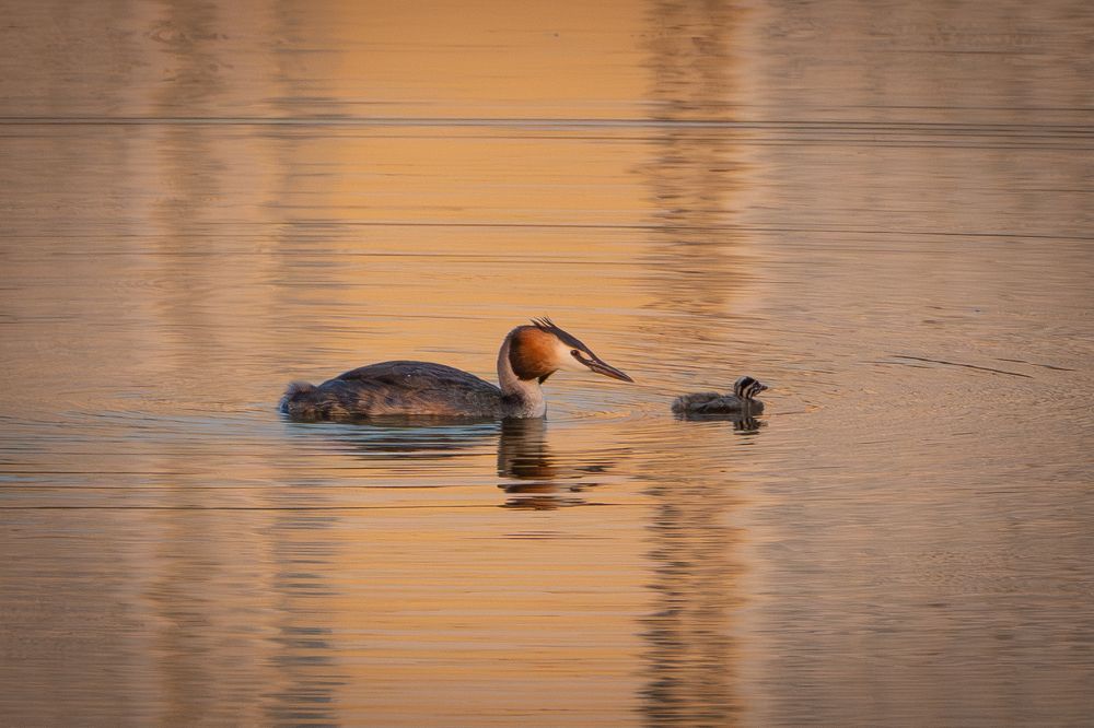Photograph by Высотских Владимир