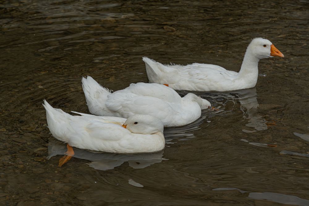 Photograph by Высотских Владимир