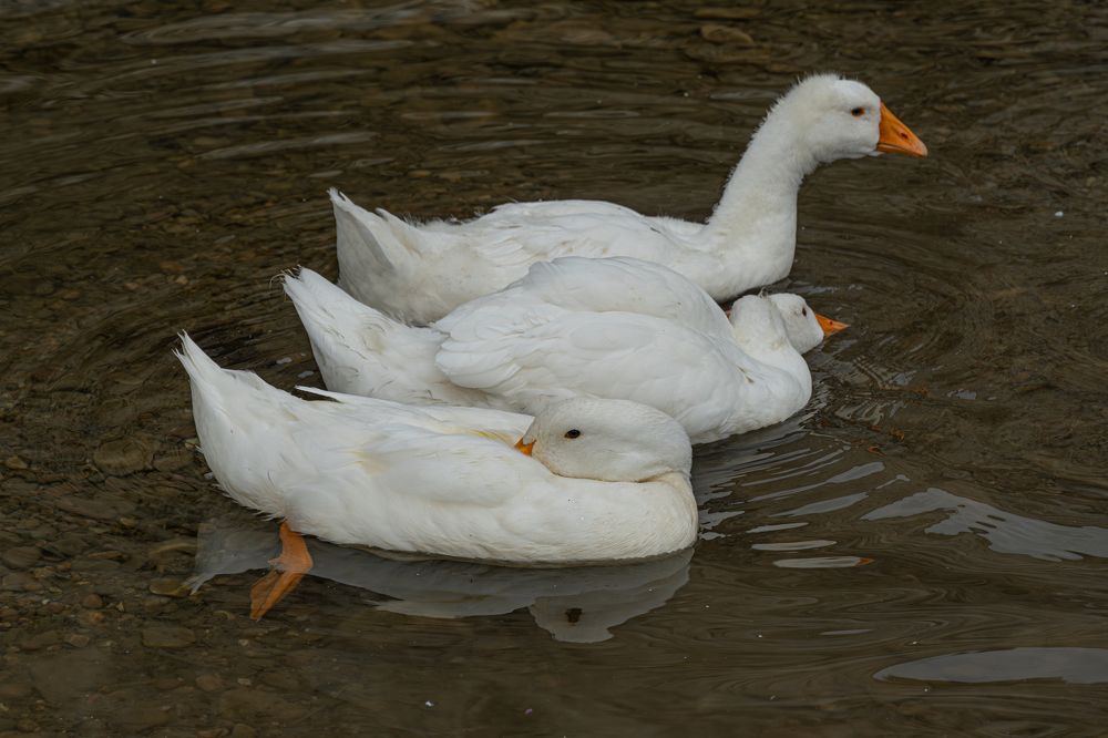 Photograph by Высотских Владимир