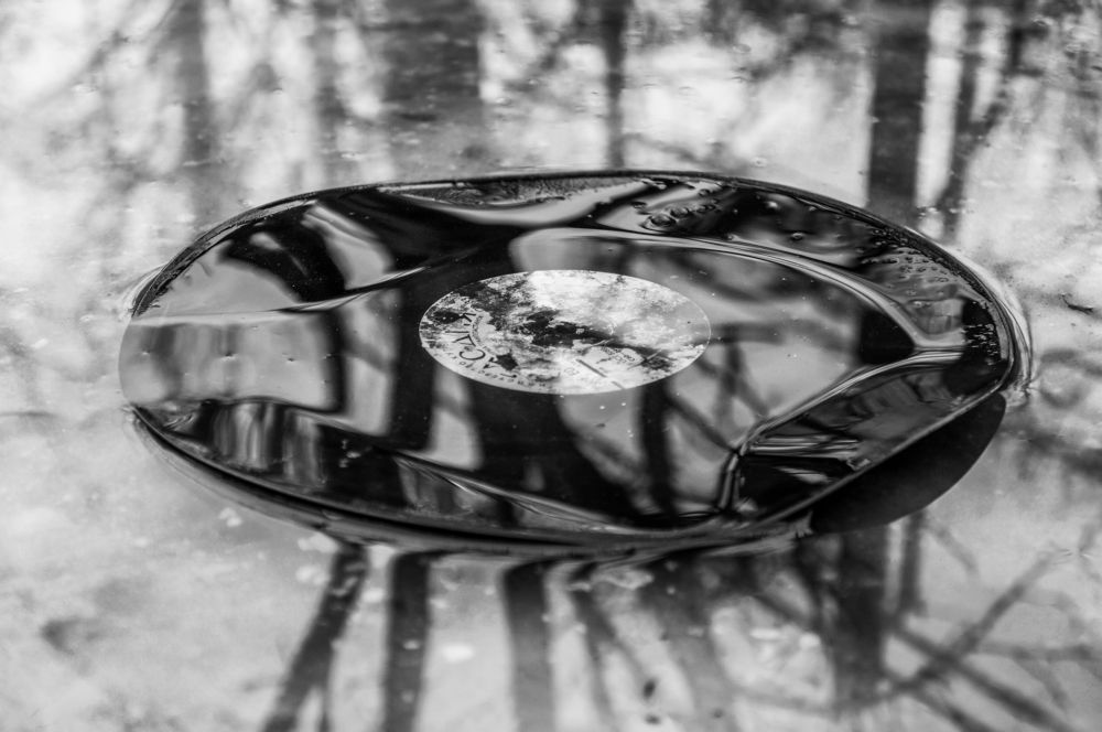 Photograph by Олег