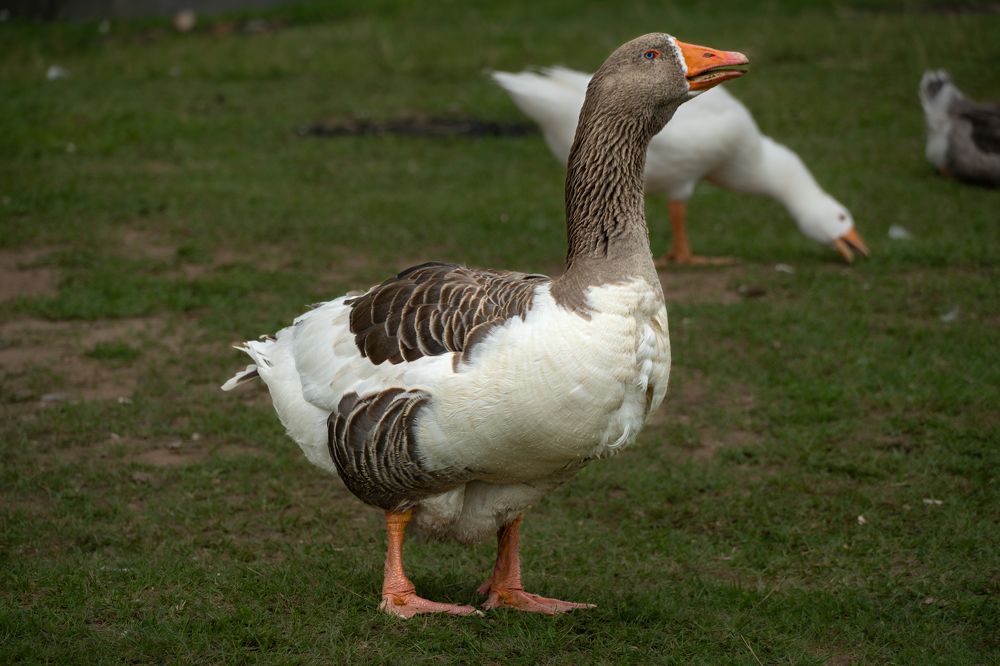 Photograph by Высотских Владимир