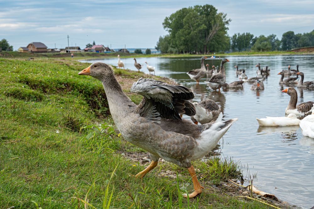Photograph by Высотских Владимир