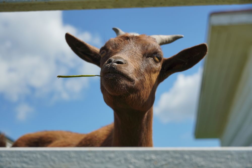 Photograph by Высотских Владимир