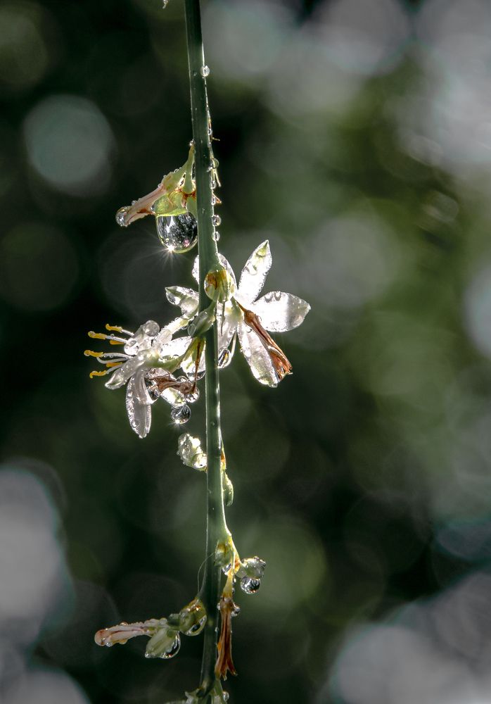 Photograph by Vitalii Kaznin