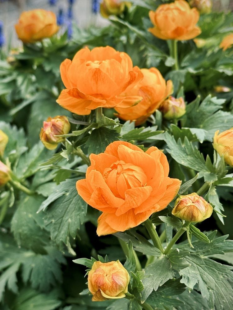 Photograph by Лазарева Анна Игоревна