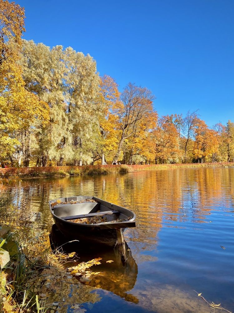 Photograph by Лазарева Анна Игоревна