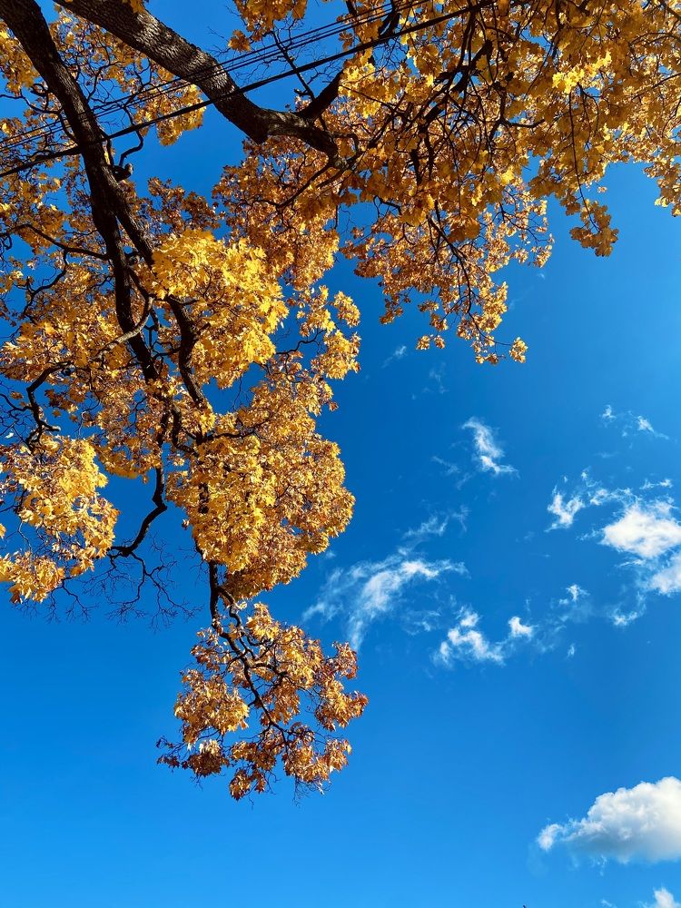 Photograph by Лазарева Анна Игоревна