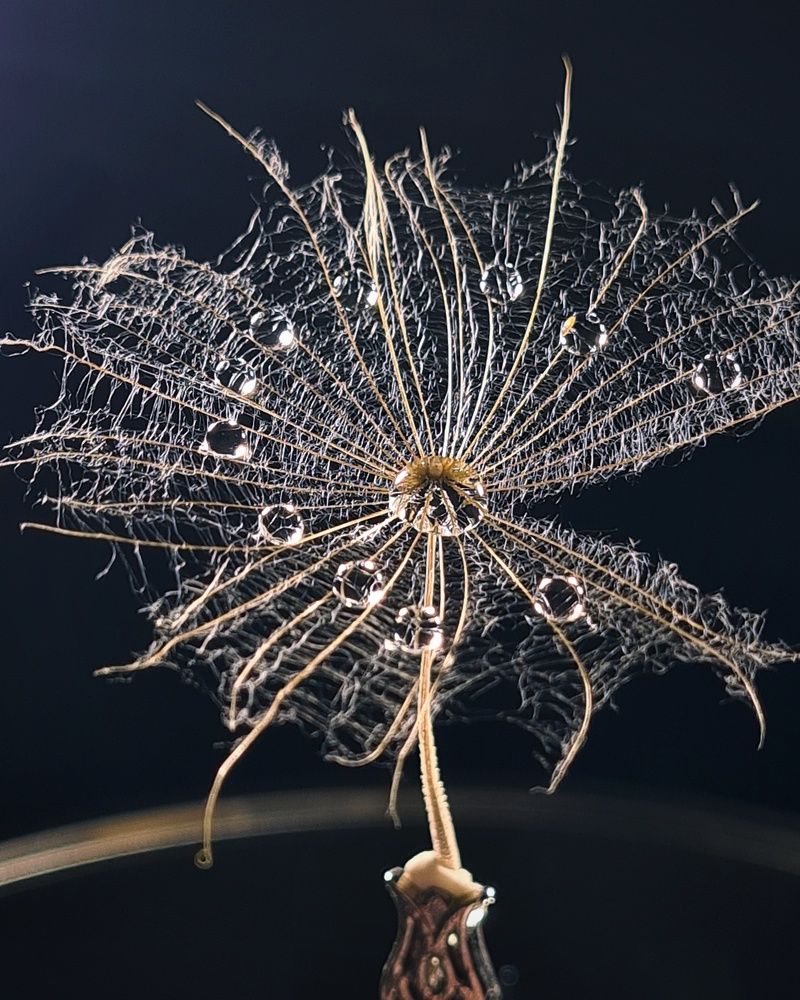 Photograph by Татьяна Соколовская