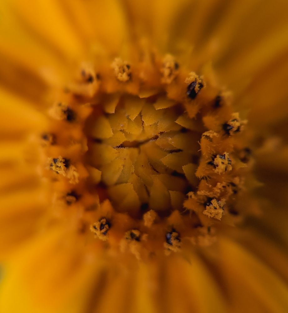 Photograph by Vijayakumar