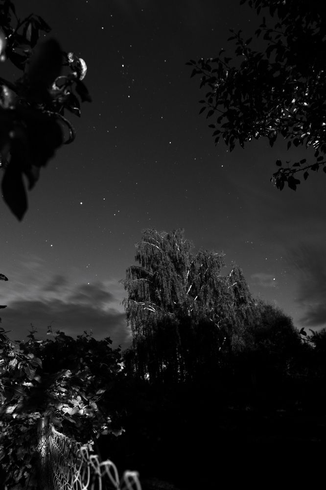 Photograph by Дарья Рыжкова