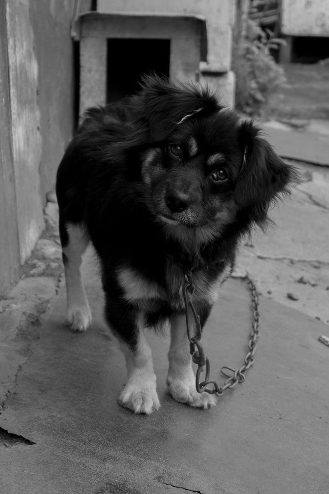 Photograph by Дарья Рыжкова