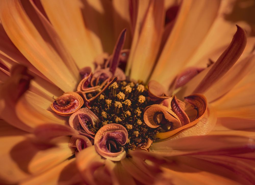 Photograph by Лия Яковлева