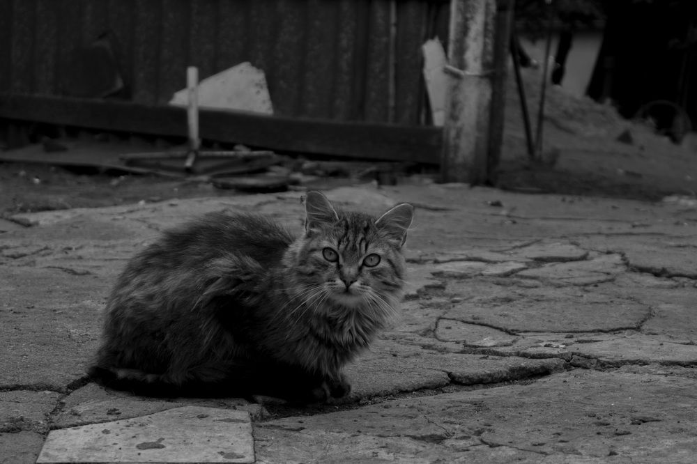 Photograph by Дарья Рыжкова