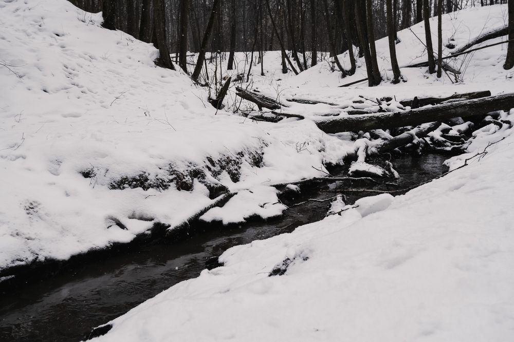 Photograph by Дарья Рыжкова