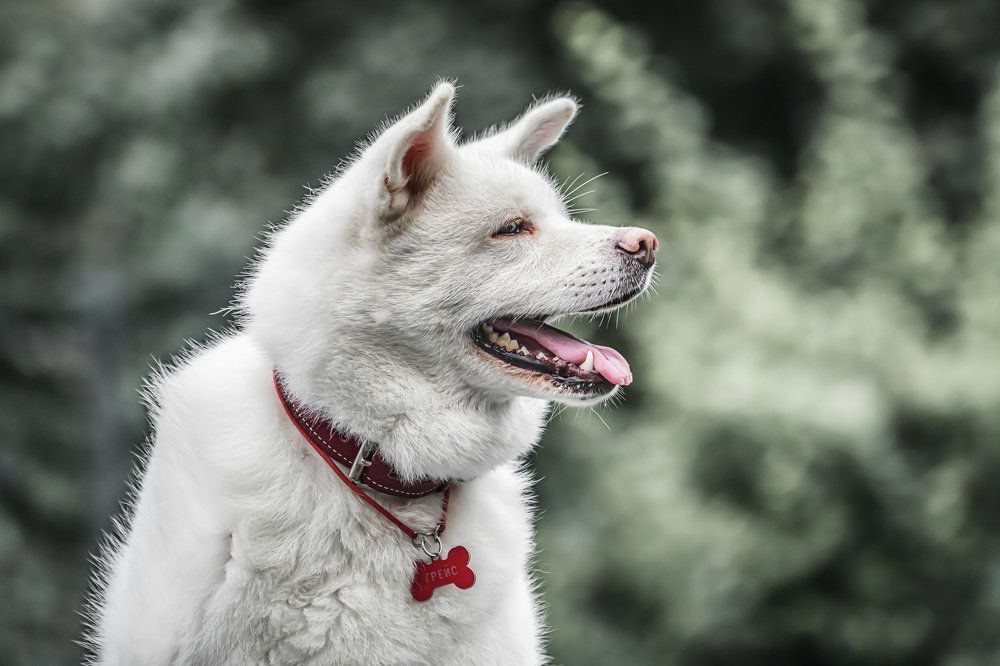 Photograph by Sergey Rygin