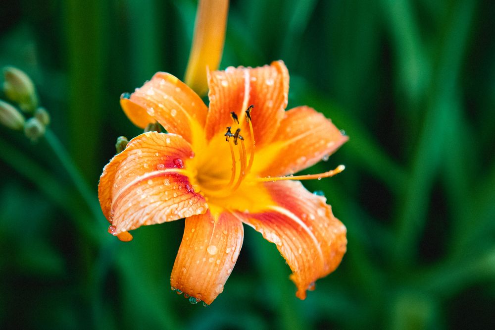 Photograph by дамир чекалин