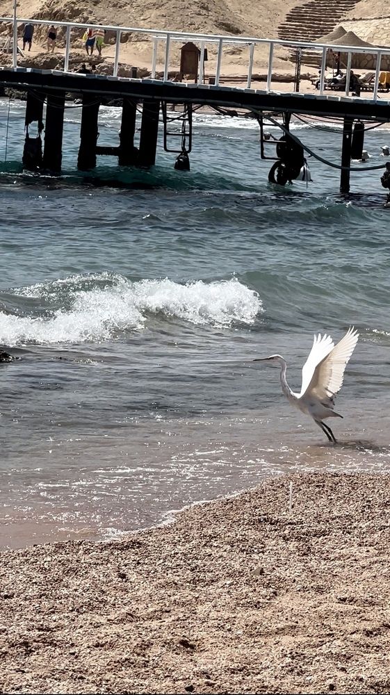 Photograph by Мария Берёзка