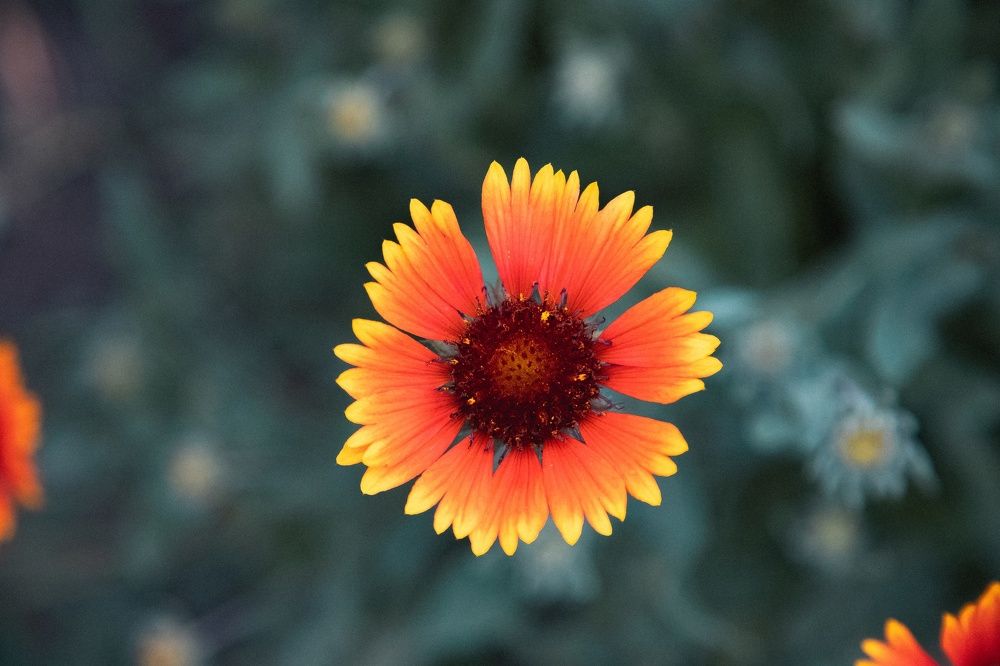 Photograph by дамир чекалин