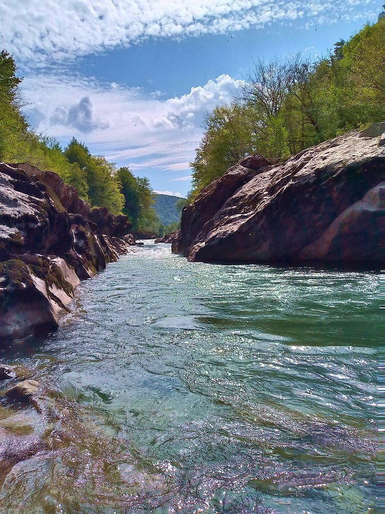 Photograph by Margo Margo