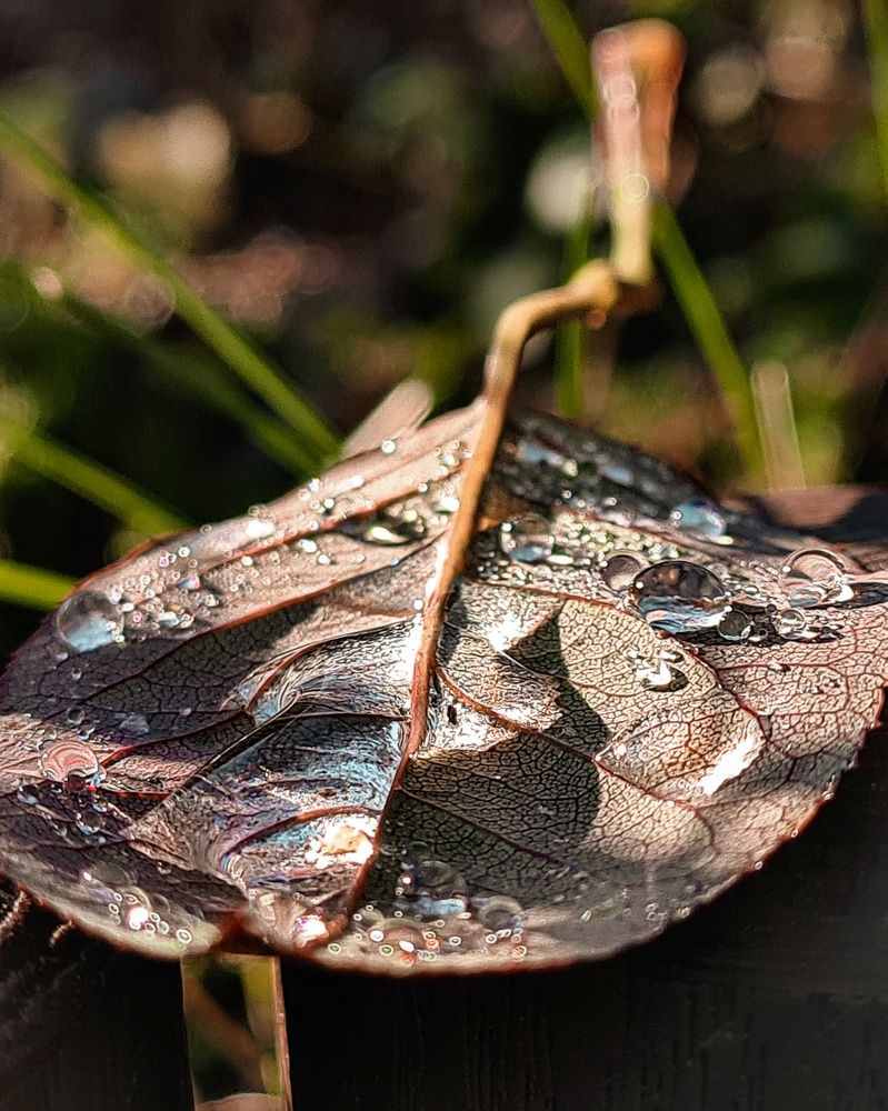 Photograph by Татьяна Соколовская