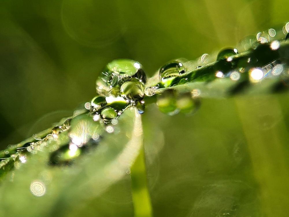 Photograph by Татьяна Соколовская