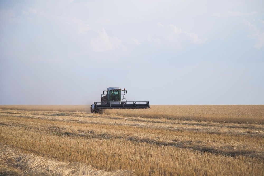 Photograph by дамир чекалин