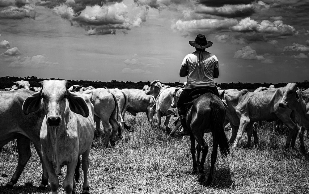 Фотография автора Lina María González Triana