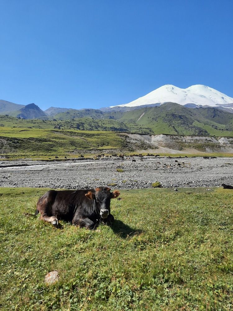 Photograph by Елена Валерьевна
