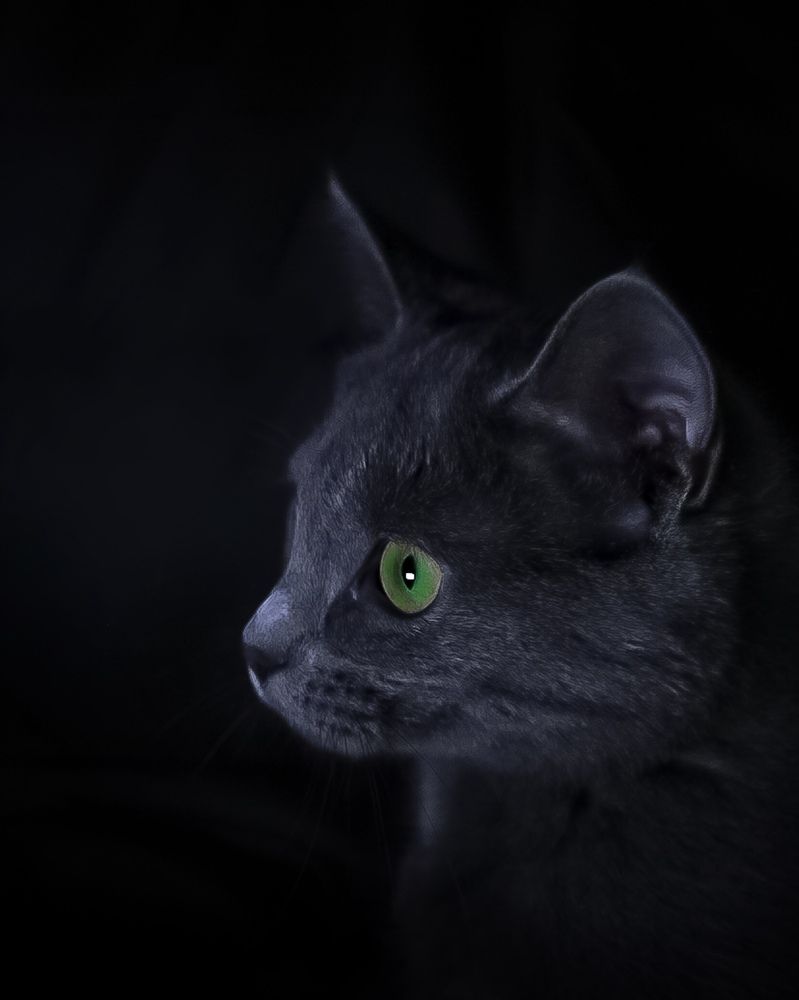 Photograph by Tatiana Grinko