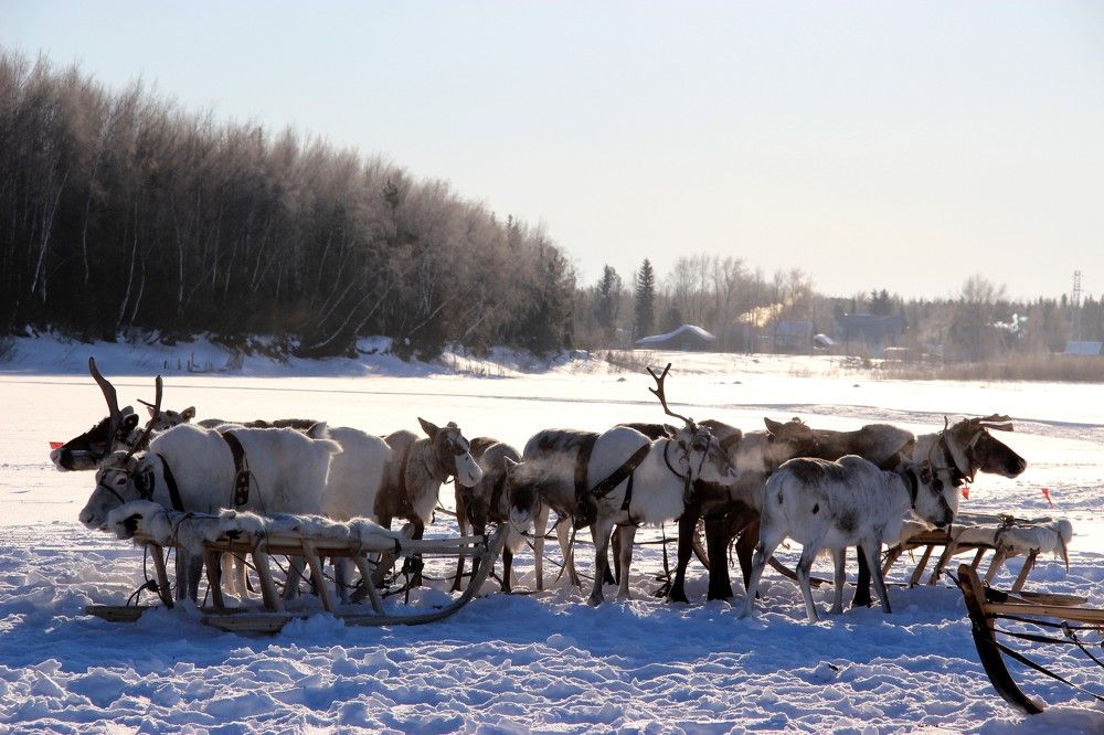 Фотография автора Яврова Татьяна
