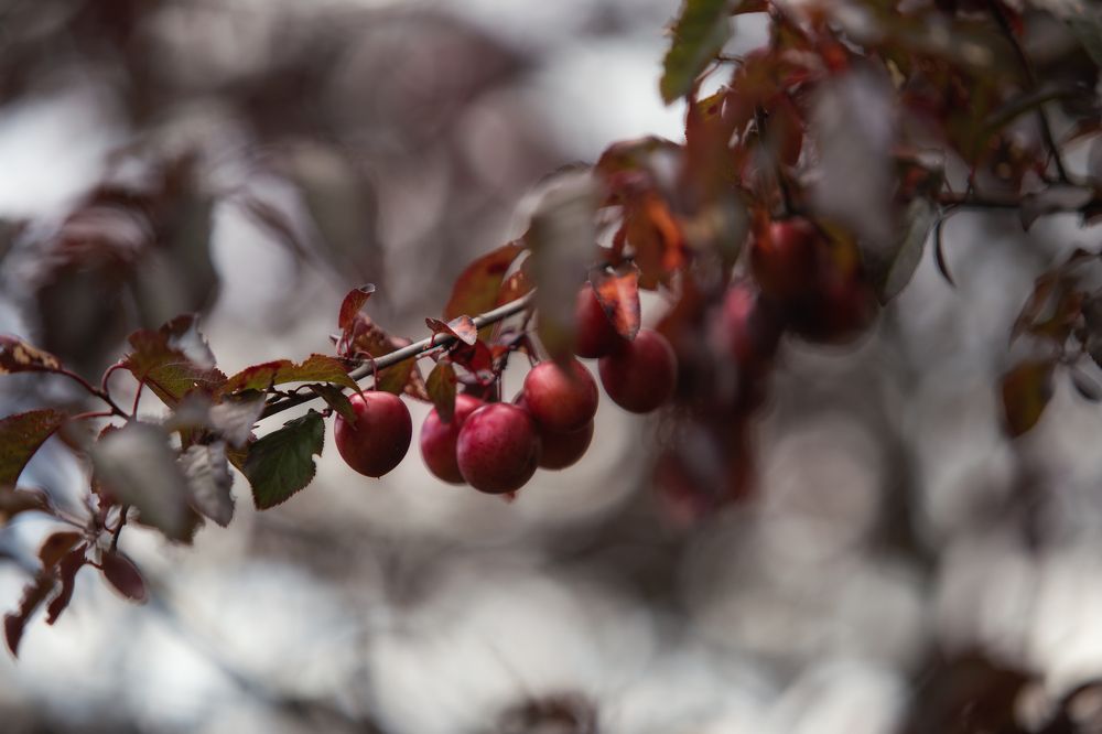 Photograph by Виталий Са