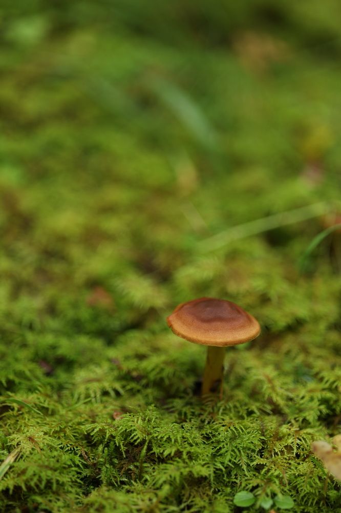 Photograph by Бальзирова Наталья