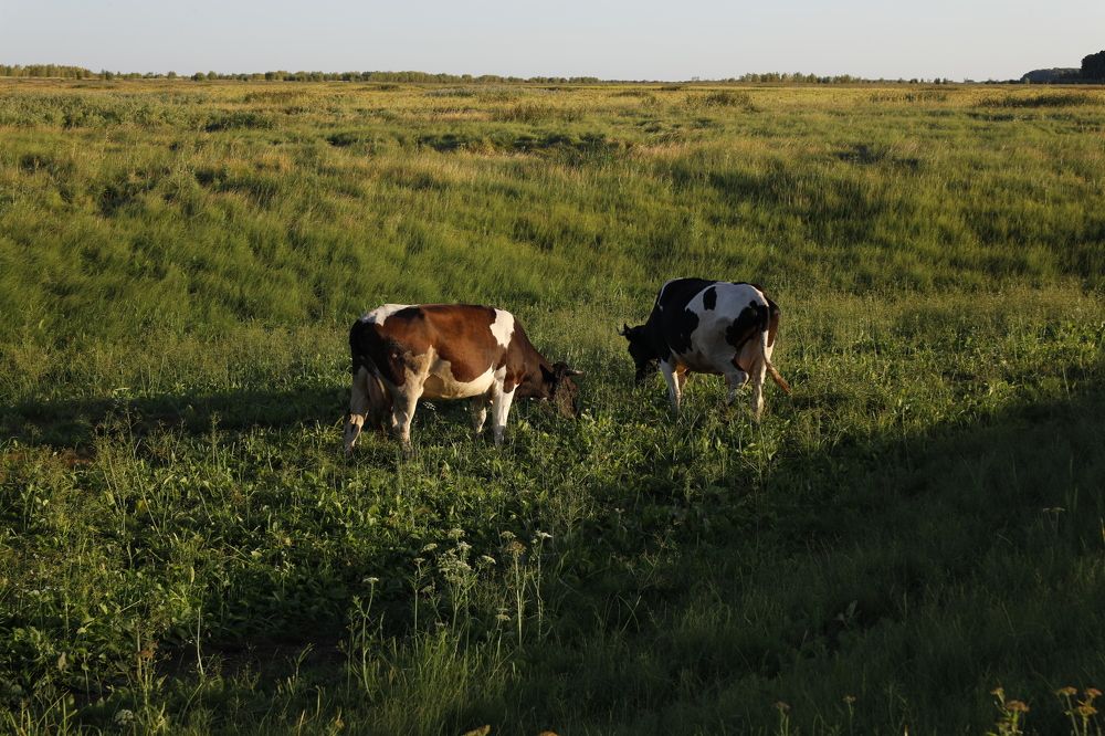 Фотография автора Яврова Татьяна