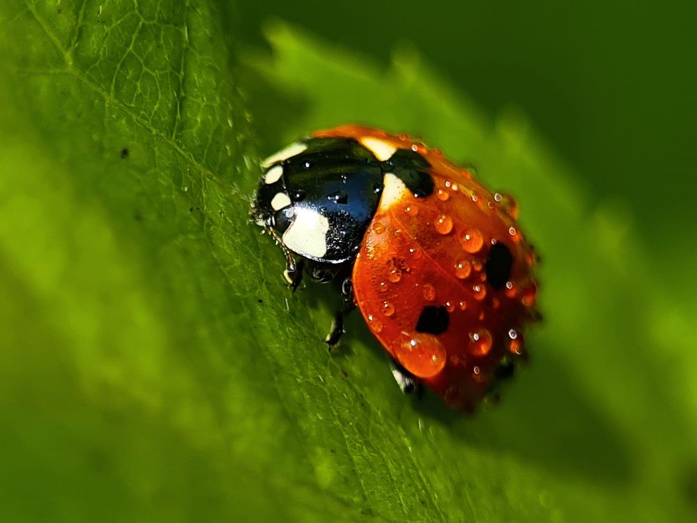 Photograph by Татьяна Соколовская