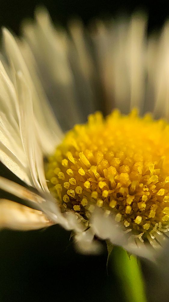 Photograph by Evgenia Korchagova