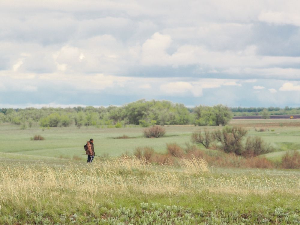 Photograph by Светлана Шибаршина