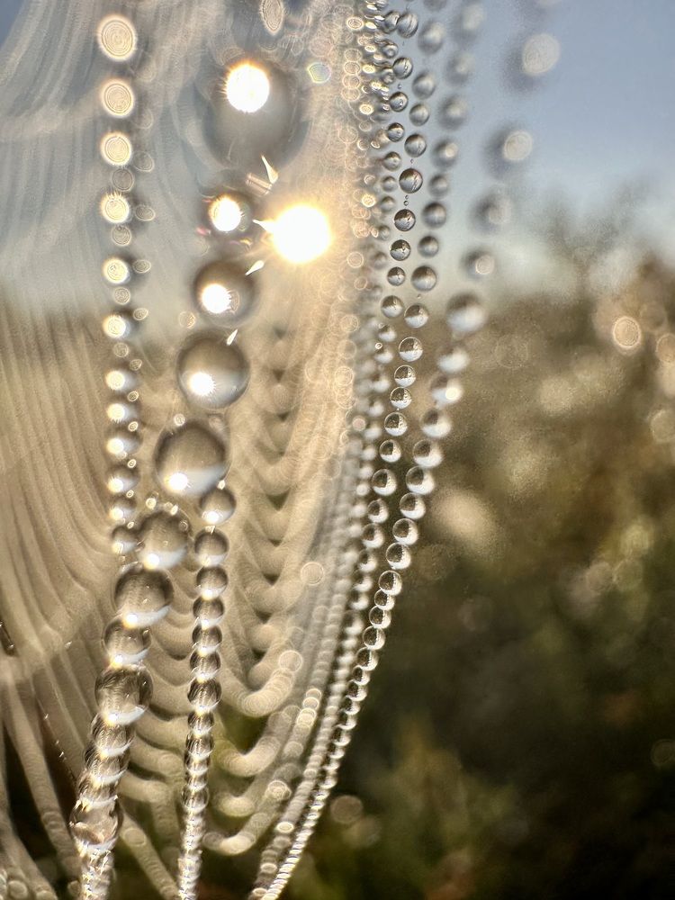 Photograph by Лариса Акинчиц