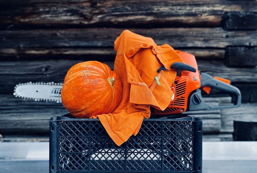 Фотография автора Кирилл Рожнов