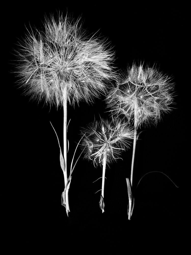 Photograph by Евгения Голубова