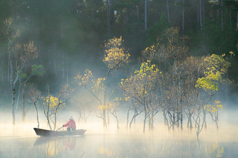 Photograph by nguyễn minh