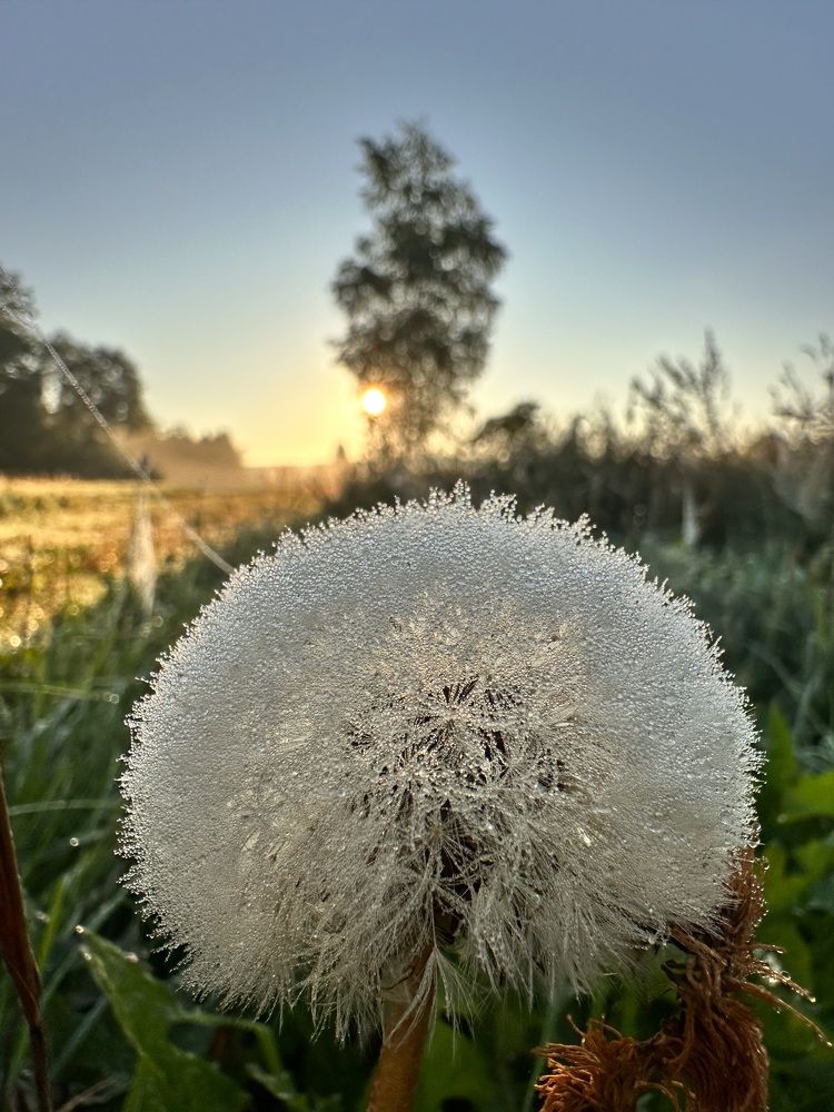 Photograph by Лариса Акинчиц