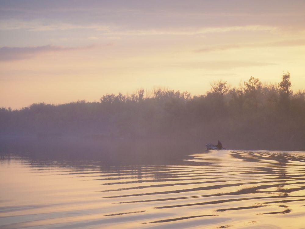 Photograph by Светлана Шибаршина