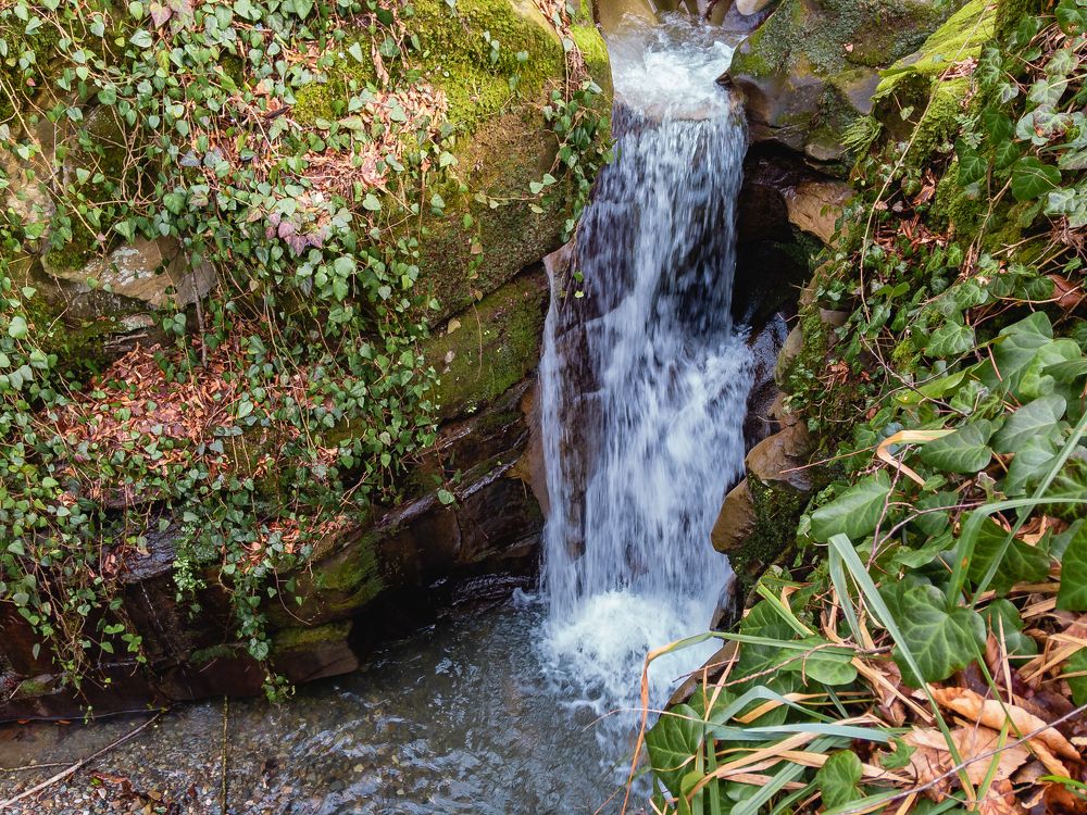 Photograph by Виталий Шкадинов