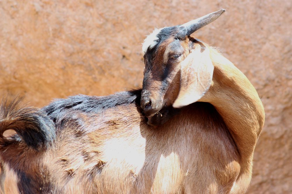 Photograph by Anastasia Kodatenko